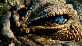 Lago Turkana, Territrio dos Crocodilos