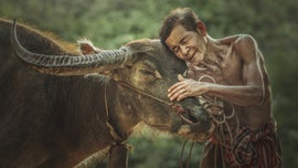 Imagem de Mu! A Epopeia dos Chifres