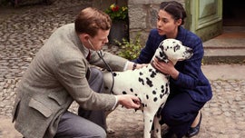 Imagem de O Veterin�rio de Prov�ncia