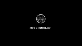 Boi Vermelho