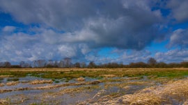 Imagem de �guas Pouco Profundas: Quando a Natureza Regressa