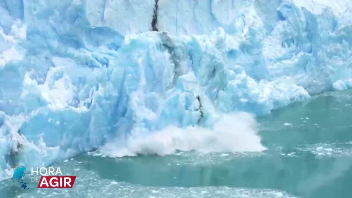 Imagem de A Importância da Educação Num Tempo de Crise Climática