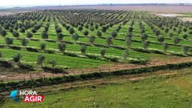 A Importncia da Gesto da gua na Agricultura