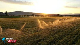 O Uso Eficiente da gua na Agricultura