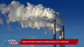 Os Mercados de Carbono