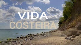 Imagem de Vida Costeira