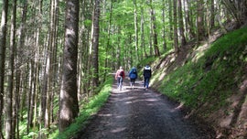 Imagem de Caminhar: A Cura Milagrosa para Corpo e Mente