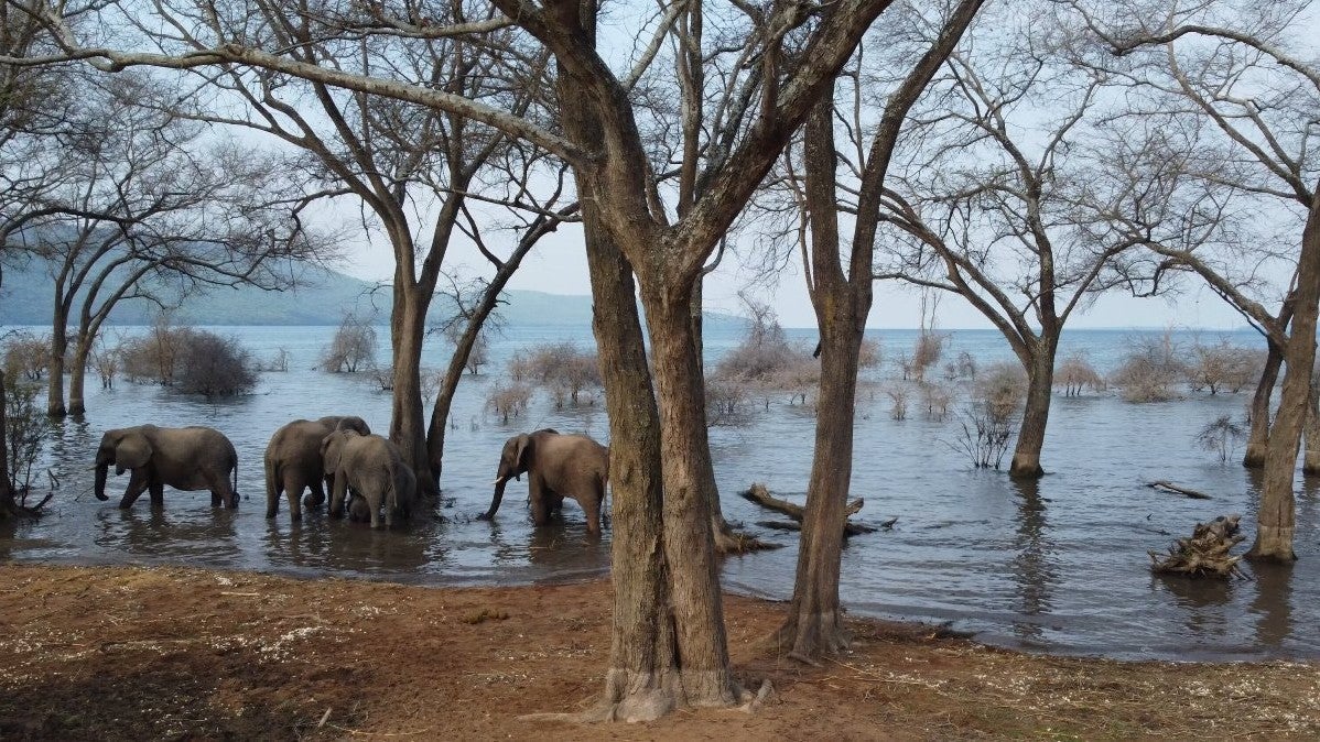 Imagem de Lago Tanganica - O Coração Azul de África