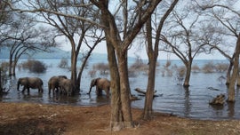 Lago Tanganica - O Corao Azul de frica