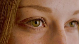 Imagem de O Olho: O Fasc�nio da Vis�o