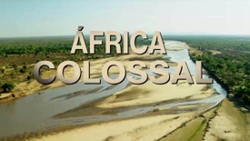 África Colossal - Mashatu