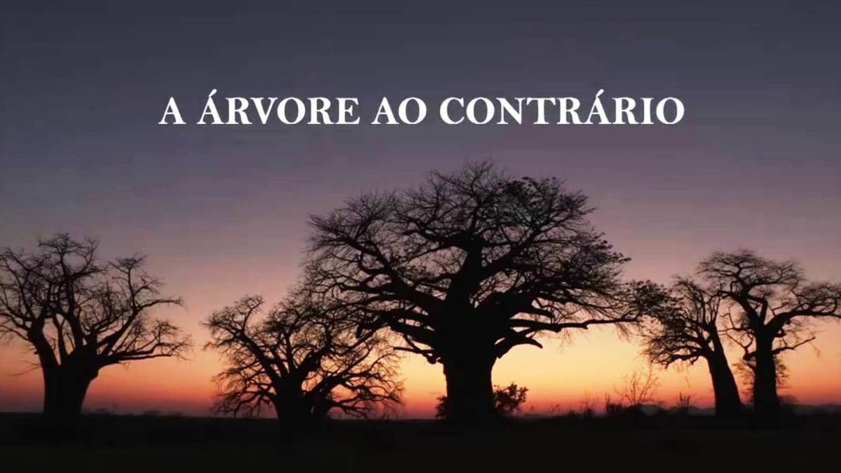 Imagem de A Árvore ao Contrário