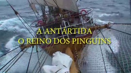 Imagem de A Ant�rtida - O Reino dos Pinguins