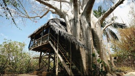 Imagem de Construir o Futuro