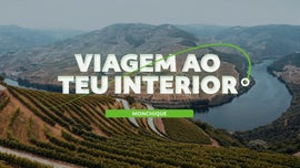 Viagem ao Teu Interior