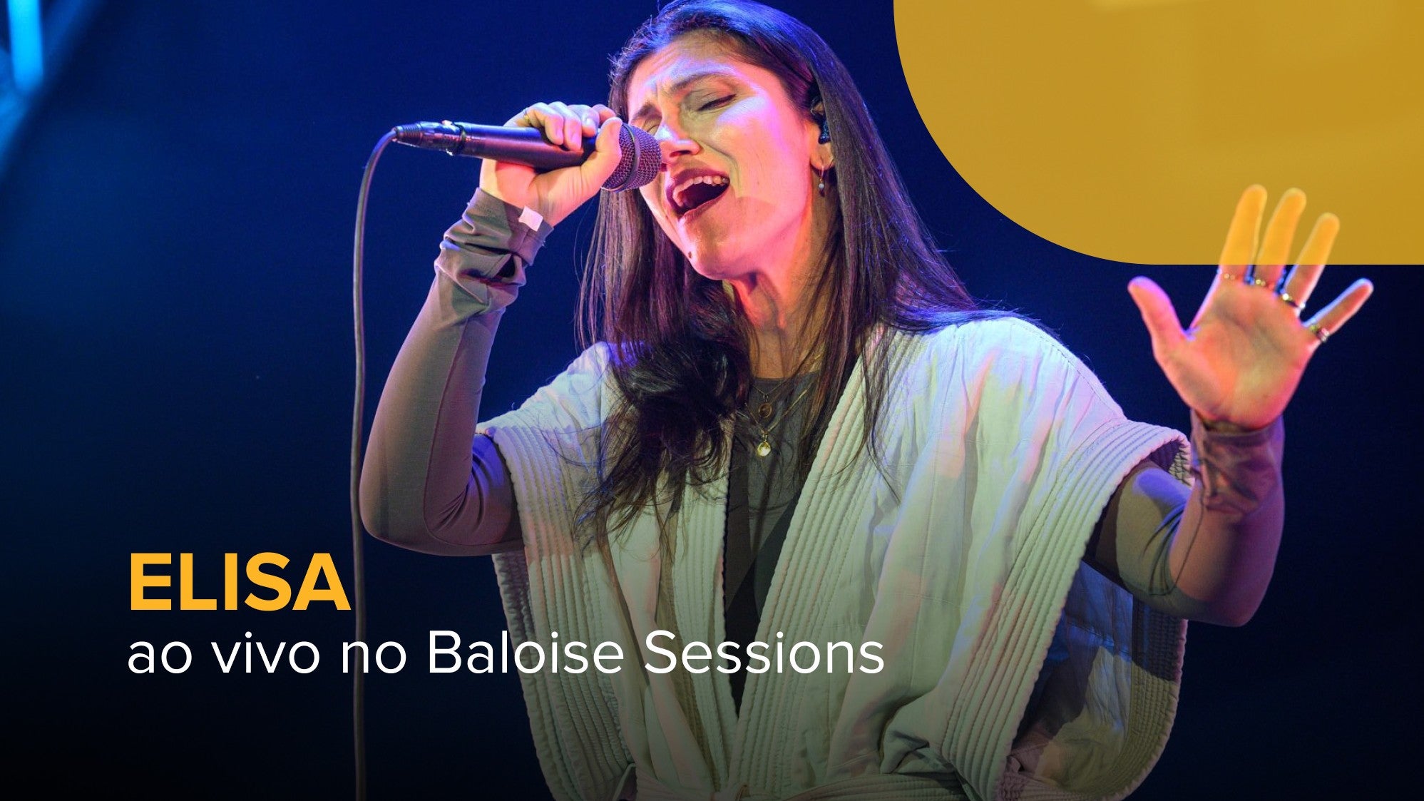 Imagem de Elisa em Concerto