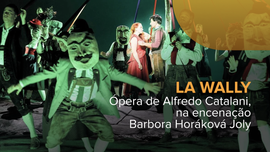 Imagem de La Wally
