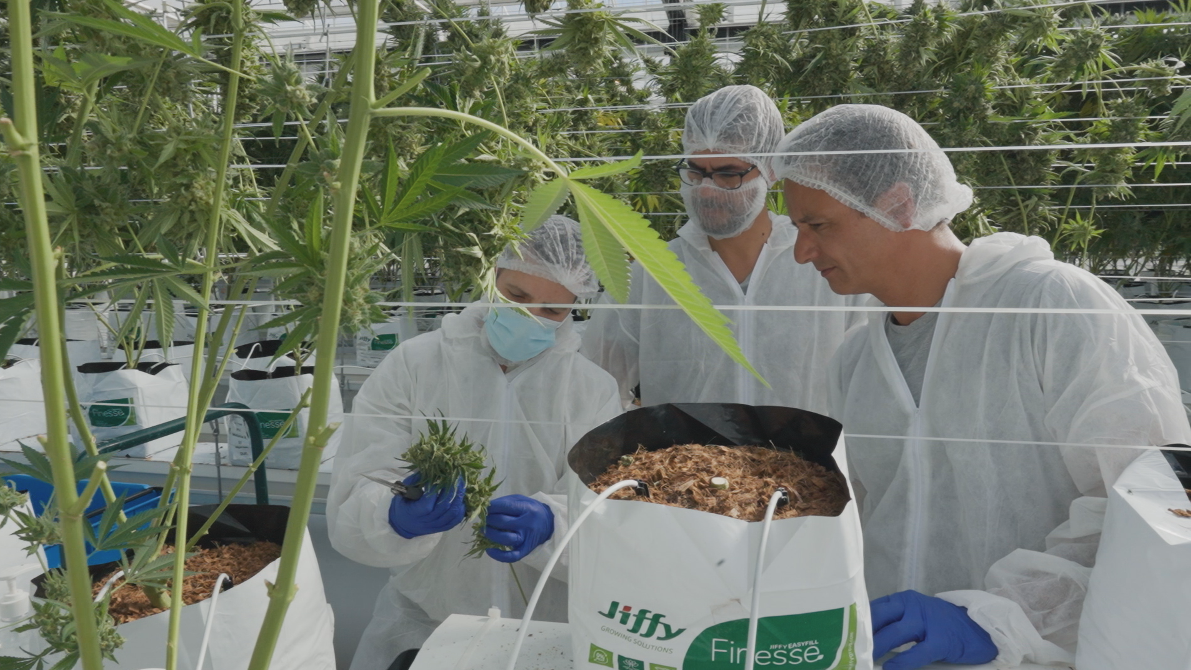 Imagem de Engenheiro Agrónomo & Enólogo