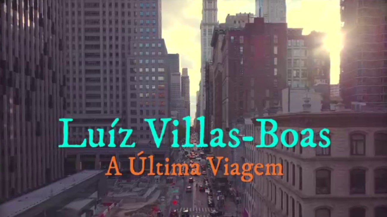 Luiz Villas-Boas: A ltima Viagem