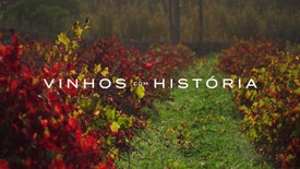 Vinhos com História - Vinho Medieval Cisterciense