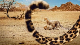 Imagem de M�e Natureza