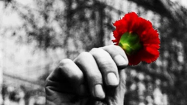 Imagem de 50 Anos de Abril e Autonomia