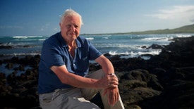 A Aventura de David Attenborough pelo Mundo - O Nosso Planeta