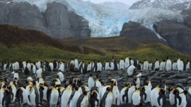 Imagem de O Nosso Planeta