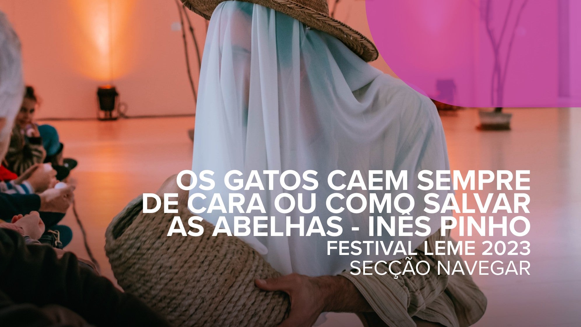 Imagem de Os Gatos Caem Sempre de Cara ou Como Salvar as Abelhas - Inês Pinho - Festival LEME 2023 - Secção Navegar