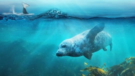 Imagem de Mares em Movimento: Maravilhas do Mar do Norte