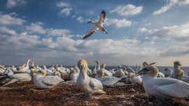 Imagem de Mares em Movimento: Maravilhas do Mar do Norte