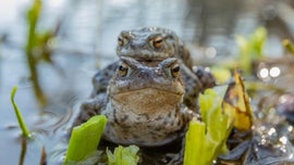 Imagem de Mares em Movimento: Maravilhas do Mar do Norte