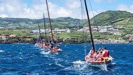 Imagem de 2� Regata Botes Baleeiros Casa Pessoal RTP-A�ores - Cais de Agosto