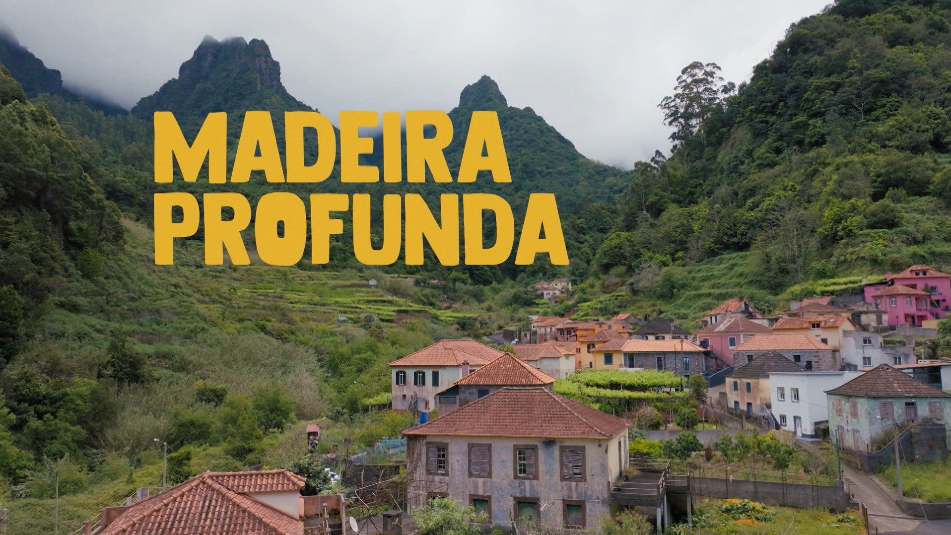 Imagem do Programa / Episiódio - Madeira Profunda