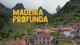 Imagem de Madeira Profunda