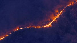 Imagem de Fauna e Flora