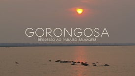 Gorongosa - Regresso ao Paraíso Selvagem