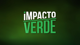 Impacto Verde