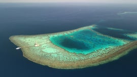 Imagem de Red - Mar Vermelho: � Urgente Proteger