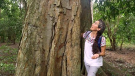 Imagem de As Defensoras da Floresta