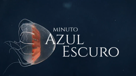 Minuto Azul Escuro