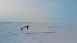 Imagem de Expedi��o