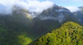 Madeira