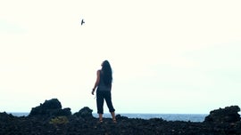 Imagem de Sentinelas do Vento