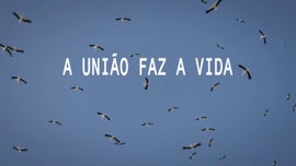 A Unio Faz a Vida