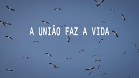 A União Faz a Vida