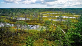 Parques Nacionais Bálticos