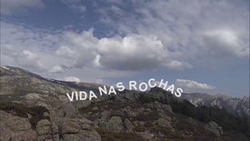 Imagem do Programa / Episiódio - Vida nas Rochas