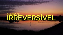 O Mundo de Irreversvel