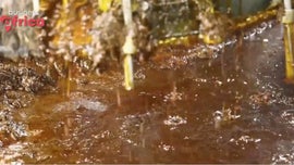 Imagem de Resili�ncia Africana Face � Economia Global